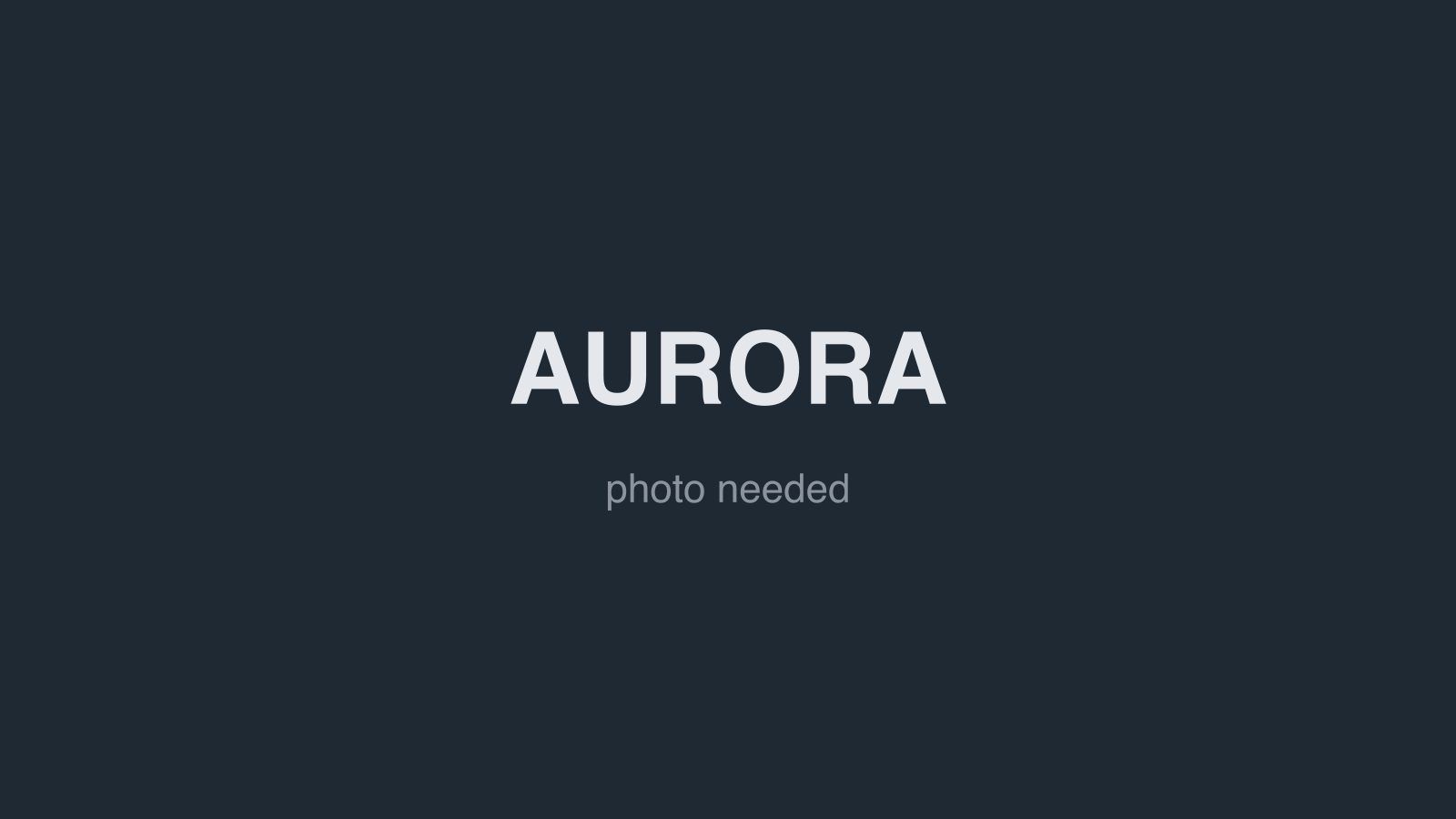 Placeholder image for Aurora, the 2022 robot